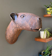 Load image into Gallery viewer, Clarice capybara
